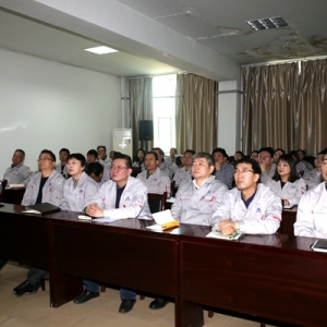 ���(xi��ng)���ι������ڣ����ι�˾�h�T�ɲ������^����������Ƭ��؝�c�ڡ�