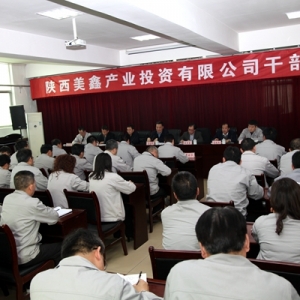 ���ɫ���F(tu��n)���_������ι�˾�ɲ����