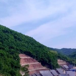 �V�I(y��)��˾����l(f��)��(xi��ng)Ŀ��(sh��)�F(xi��n)�l(f��)�17�f(w��n)��