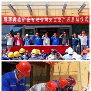 �V�I(y��)��˾2019�ꡰ��ȫ���a(ch��n)�¡�����e�І��Ӄxʽ