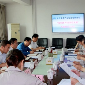 ��˾���_����(qi��ng)�h������(y��n)�o(j��)�����ٰl(f��)չ�����(xi��ng)�����I(l��ng)��(d��o)���ӌ��}���������