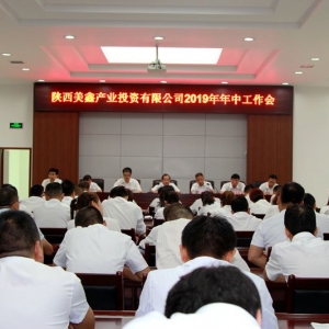 ��˾���_2019�����й�����