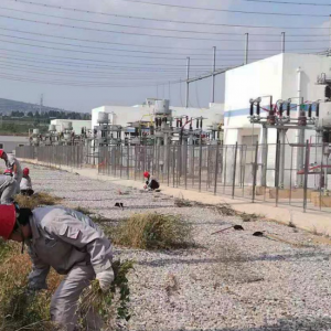 �X�V�Ͻ�ֹ�˾��(d��ng)��܇(ch��)�g�h֧�� �_(k��i)չ����s���x��(w��)�ڄ�(d��ng)