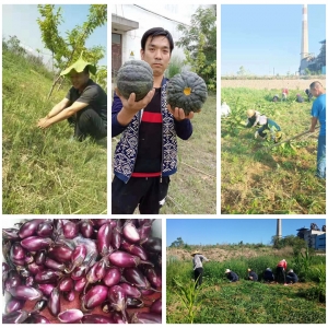 70�A�Q���҂��@�Ӟ����c��