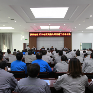 ���F��˾�����ι�˾�I(l��ng)��(d��o)�����_չ2019����h���������u