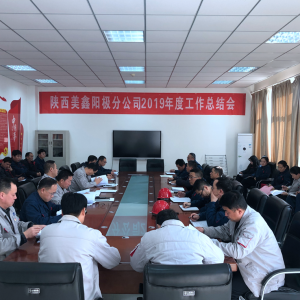 ꖘO�ֹ�˾���_2019��ȹ������Y(ji��)��(hu��)