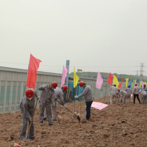 ��˾�����F(tu��n)�M���S�����(d��ng)�وF(tu��n)��