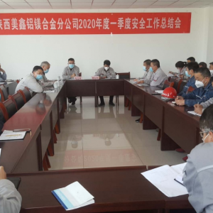 �X�V�Ͻ�ֹ�˾���_2020���һ���� ��ȫ���a(ch��n)�������Y(ji��)��