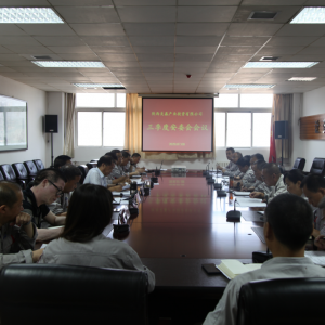 ��˾���_2020�������Ȱ�ί�����h