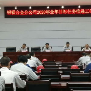 �X�V�Ͻ�ֹ�˾���_2020��ȫ��Ŀ��(bi��o)�΄�(w��)���M�������h