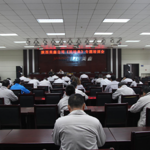 ��˾�e�k���񷨵䡷���}��Ӗ��