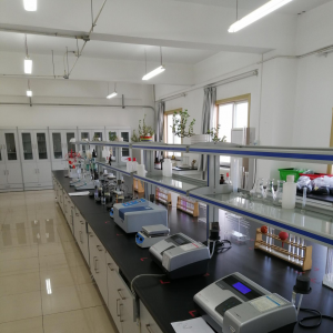 �|(zh��)�zӋ(j��)�������_(k��i)չ�������B������������(w��n)�����L(zh��ng)����ҡ����滯�������M(j��n)��M�u(p��ng)�x���(d��ng)