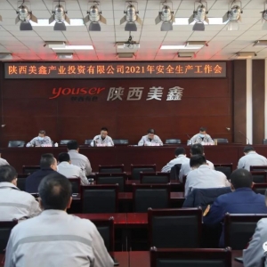 ��˾���_2021��Ȱ�ȫ���a������