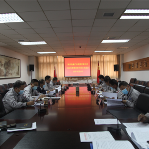 ������ι�˾�hί���_(k��i)2020������������(hu��)