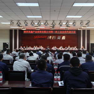 ��˾�������_��һ�Ε��T�������