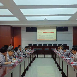 ��˾�I(l��ng)��(d��o)���ӳɆT��������v�hʷ���}�h�n