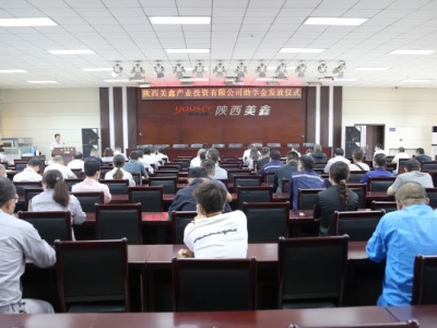 ��˾�����_չ2021��Ƚ������W(xu��)���