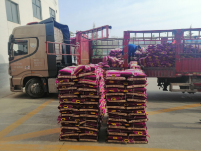 ��˾��T���l(f��)�Ŵ���(ji��)ů�ĸ���