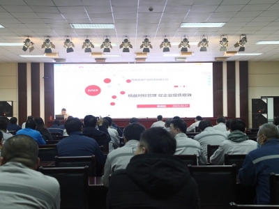 ��˾�e�k�����挦�˹�������I(y��)���|(zh��)��Ч����Ӗ��