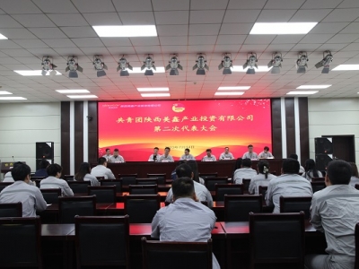 �����F(tu��n)������ήa(ch��n)�I(y��)Ͷ�Y���޹�˾�ڶ��δ�������ɹ����_