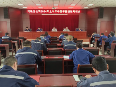 ꖘO�ֹ�˾���_2024���ϰ����ЌӸɲ���Ч���˕�