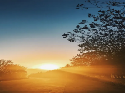 �����е�����